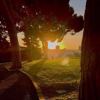 sunset,garden,tree,trees,Lisbon,portugal,lisbon,portugal,lisbonlovers