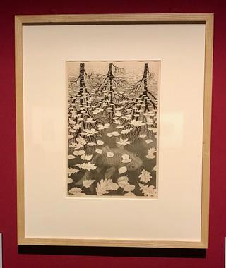 galleryImage