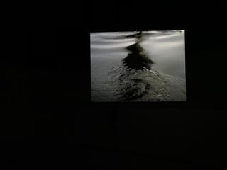 galleryImage