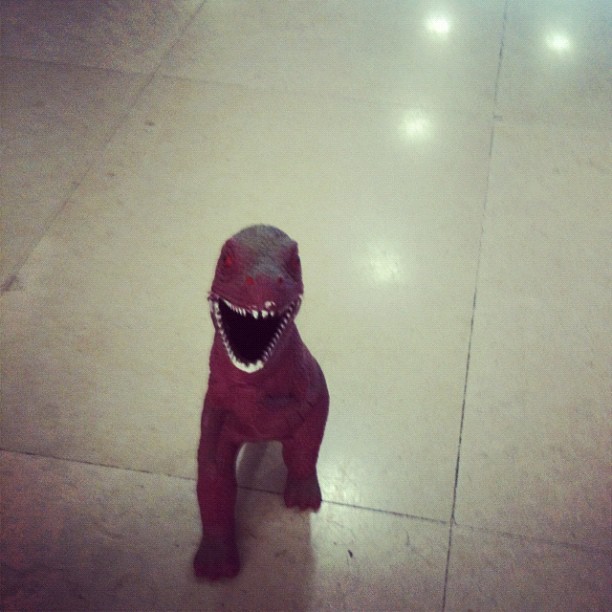 Trex at Jurassic six