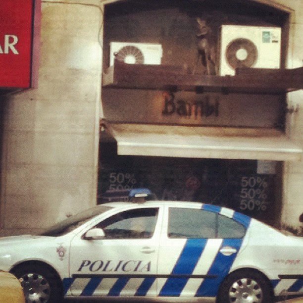 A policia está a proteger o bambi