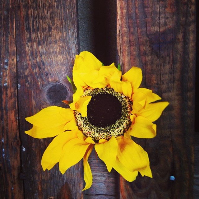 #vscocam