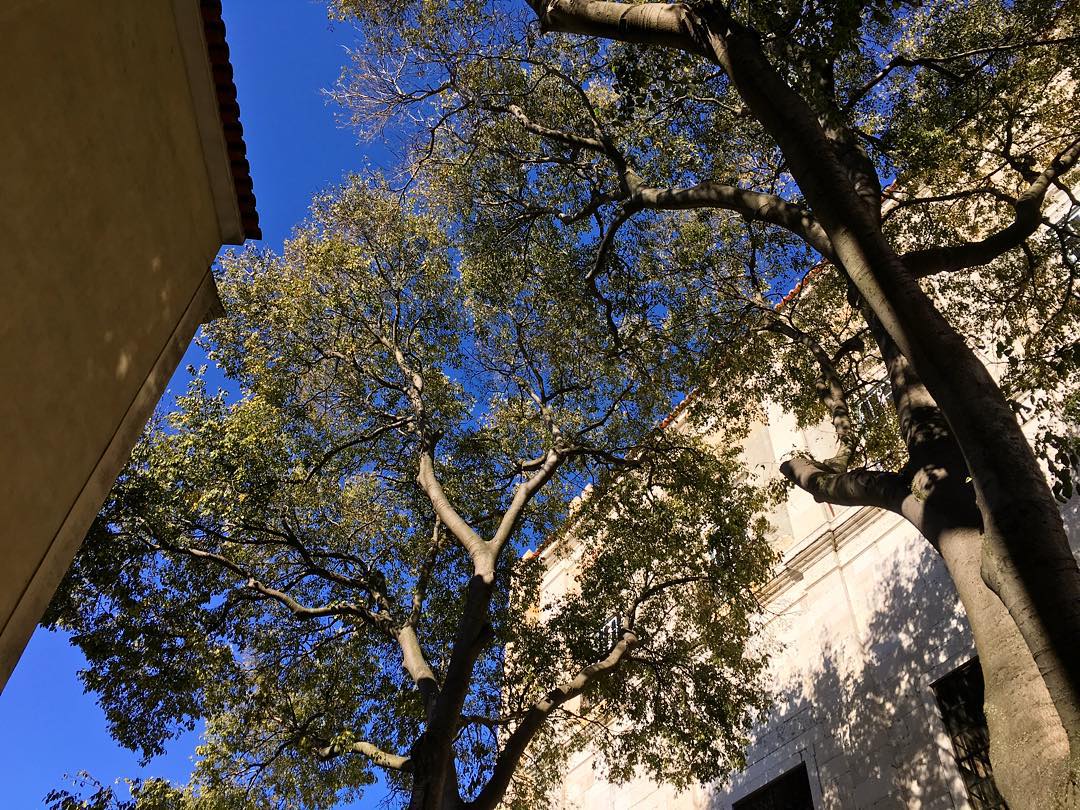 There are worst places to call an office.