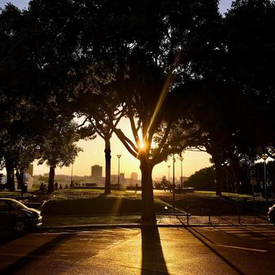 sunset,Lisbon,Lisboa,portugal,sun,tree